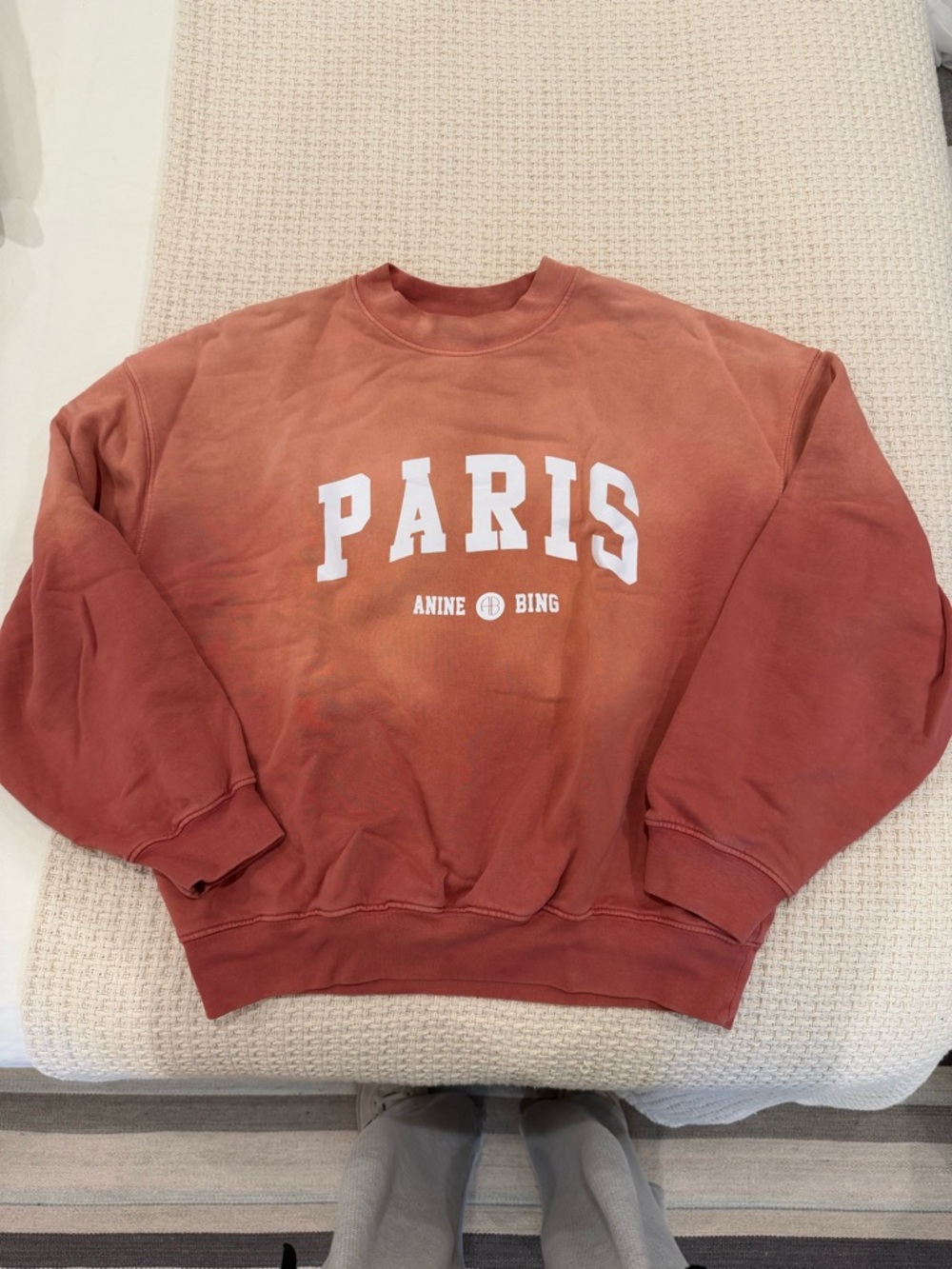 Anine Bing PARIS Crewneck Sweatshirt in Burnt Orange